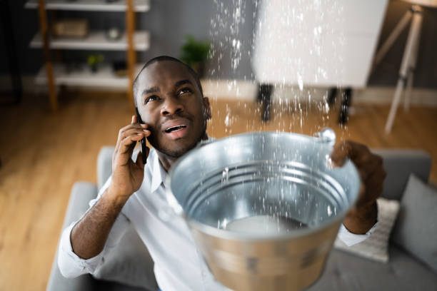 Best Carpet water damage restoration  in Bunnell, FL