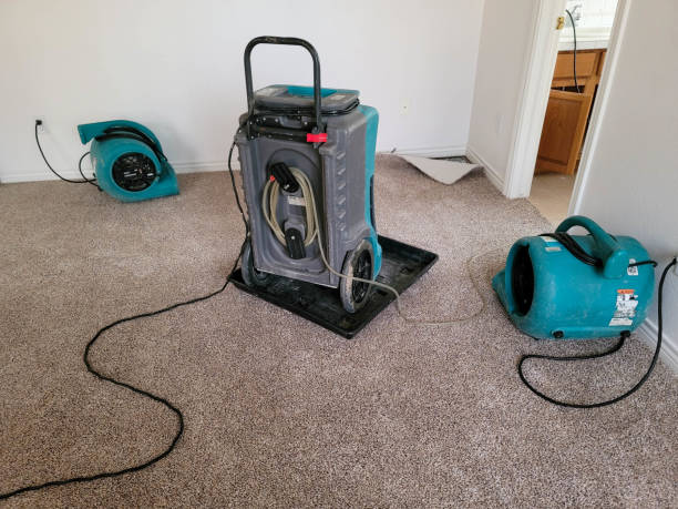 Best Fire Damage Restoration  in Bunnell, FL