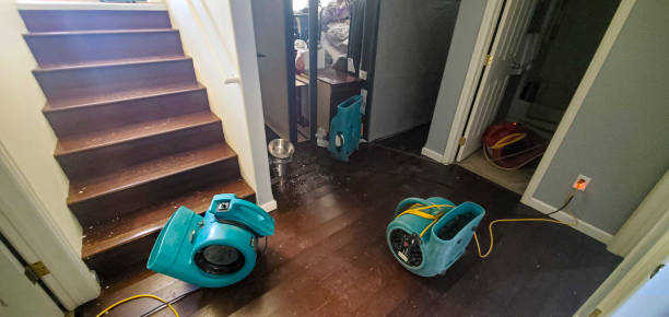 Best Commercial water damage restoration  in Bunnell, FL