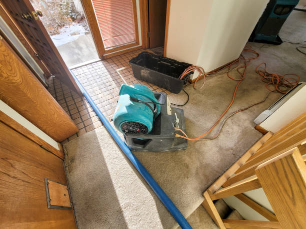 Best Water damage restoration cost  in Bunnell, FL