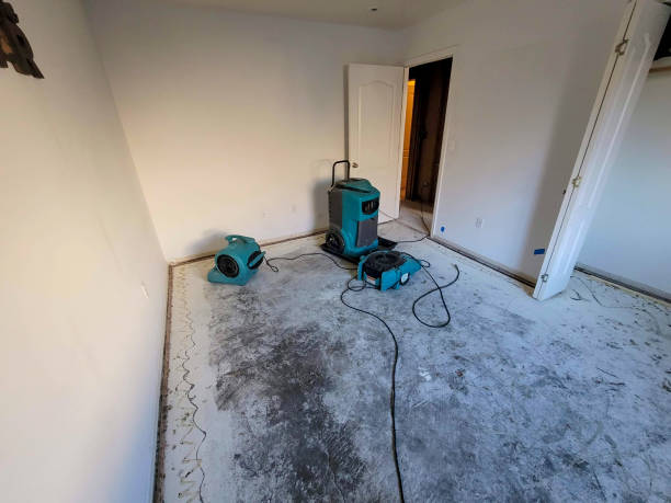 Best Flood damage cleanup  in Bunnell, FL