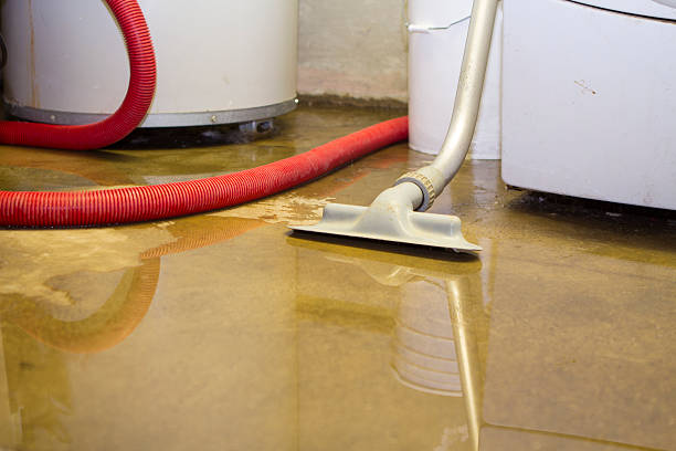 Best Sewage cleanup and water damage restoration  in Bunnell, FL