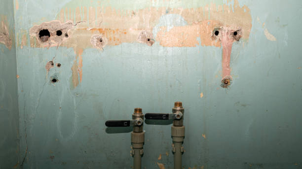 Best Commercial water damage restoration  in Bunnell, FL