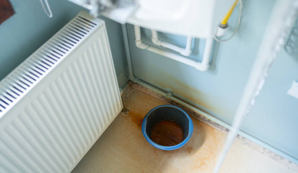 Best Sewage cleanup and water damage restoration  in Bunnell, FL